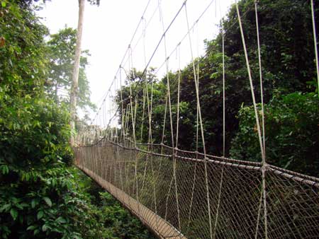 kakum national forest zipline
