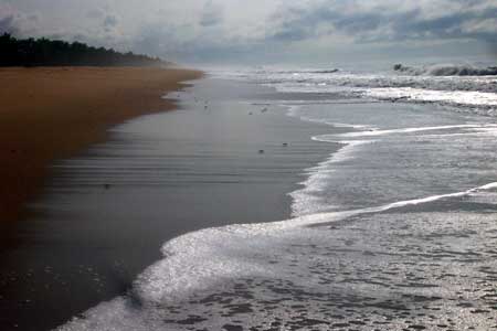 Benin Coastline with Waves