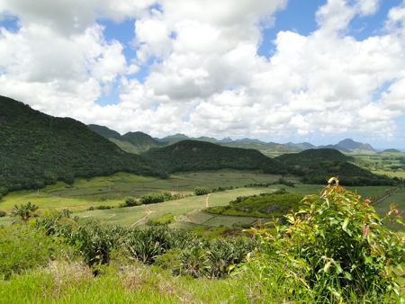 Mauritian Highlands