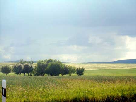 Hungarian grasslands